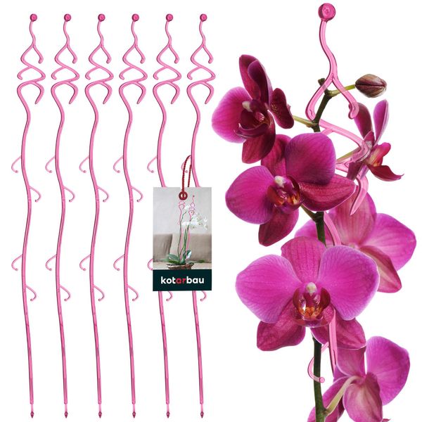 Kotarbau® Set Di 6 Supporti Per Piante Rosa Pvc 55 Cm Abete Supporto Per Fiori Ausilio Per L'arrampicata Piante Da Interno Supporto Per Fiori Giardino Orchidea Asta Di Supporto Piante Supporto Decorativo Per Piante Da Interno Aste Per Arrampicata Piante-image
