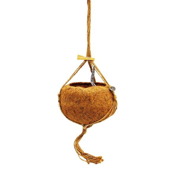 Kokodama - Cesto Sospeso Vuoto - Xxl - 24 Cm-image