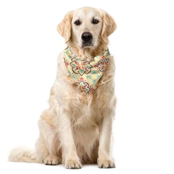 Abakuhaus Bandana Geometrica Per Animali Domestici, Disegno Floreale, 55X55 Cm, Color Crema E Multicolore-image