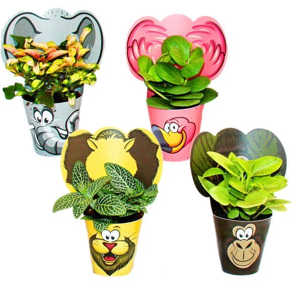 Set Di Piante Da Appartamento Dal Cuore Esotico Animali 4 Piante Con Animali Ideale Come Regalo Per Le Feste Di Compleanno Dei Bambini-image