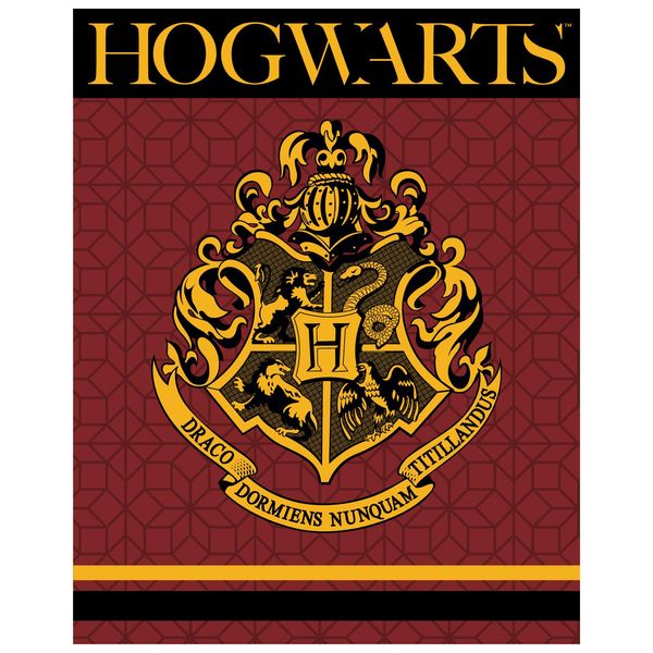 Coperta Grande In Pile 220Gsm 120X150 Harry Potter-image