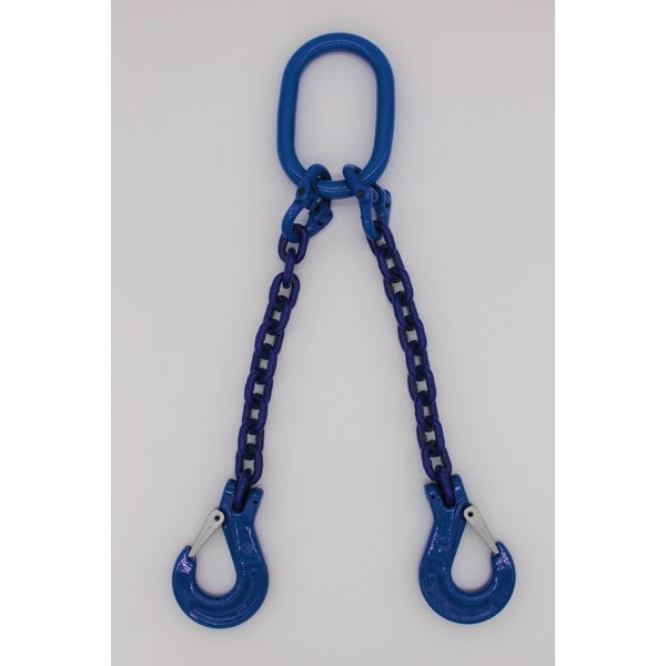 Catena Per Imbracatura Grado 10 A 2 Fili 1,0 M 13 Mm Senza Accorciamento Blu-image