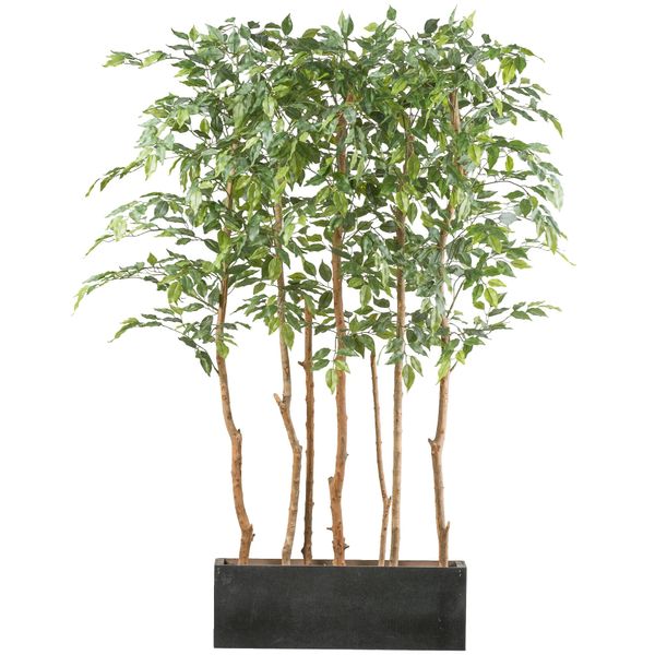 Pianta Artificiale Ficus Benjamina 160 Cm Come Divisorio In Una Scatola Di Legno 60X12X20 Cm-image