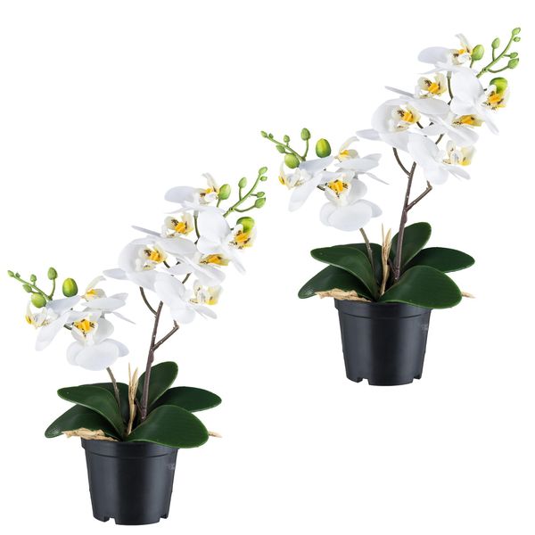 Set Di 2 Orchidee Phalaenopsis Bianche 28 Cm - Pianta Artificiale In Vaso Real Touch-image