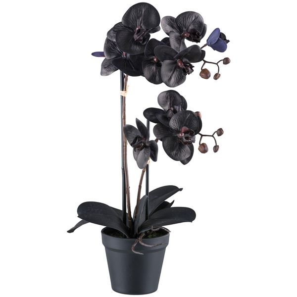 Orchidea Phalaenopsis 53 Cm In Nero, 10 Fiori, Pianta Artificiale Real Touch In Vaso-image