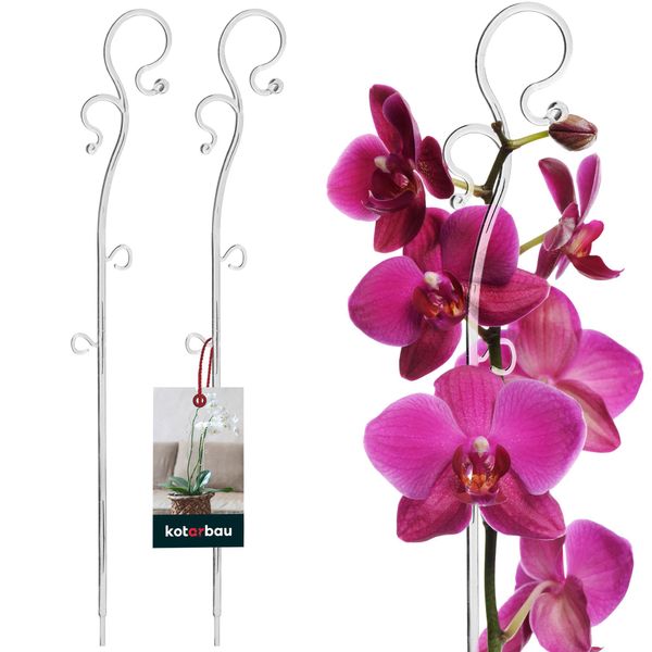 Kotarbau® Set Di 2 Supporti Per Piante In Pvc Trasparente Da 39 Cm Supporto Per Piante Rampicanti Supporto Per Piante Da Interno Supporto Per Orchidee Da Giardino Supporto Per Piante Bastone Decorativo Supporto Per Piante Da Interno Bastoni Per Piante Rampicanti-image
