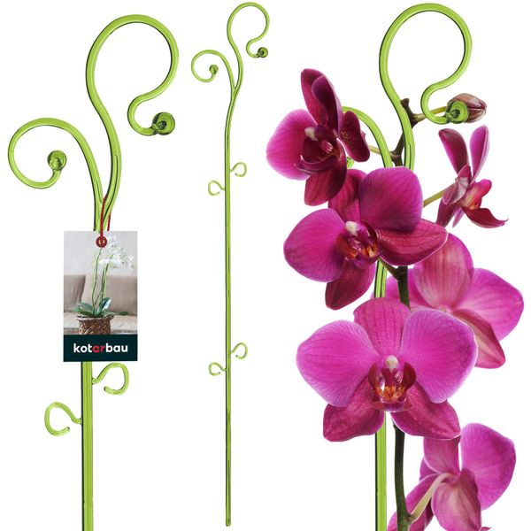 Kotarbau® Supporto Per Piante Verde Pvc 58 Cm Supporto Per Piante Da Interno Supporto Per Piante Da Giardino Orchidee Asta Di Sostegno Piante Supporto Decorativo Per Piante Da Interno Aste Per Piante Rampicanti-image