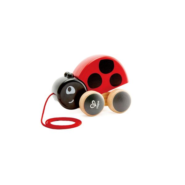 Hape Coccinella Treno Giocattolo In Legno Divertimento Animale Prescolare-image