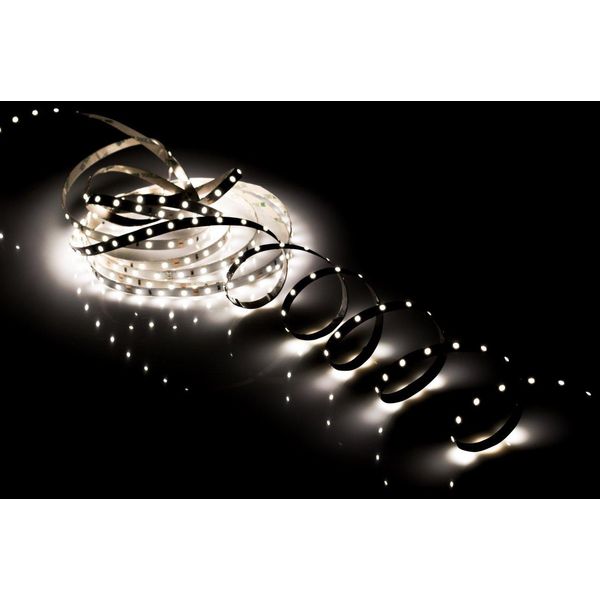 Striscia Led Nastro Led Pro 9,6W 3000K Ww Bianco Caldo Dimmerabile IP20 12V Dc Rotolo Da 5 Metri Edo-image