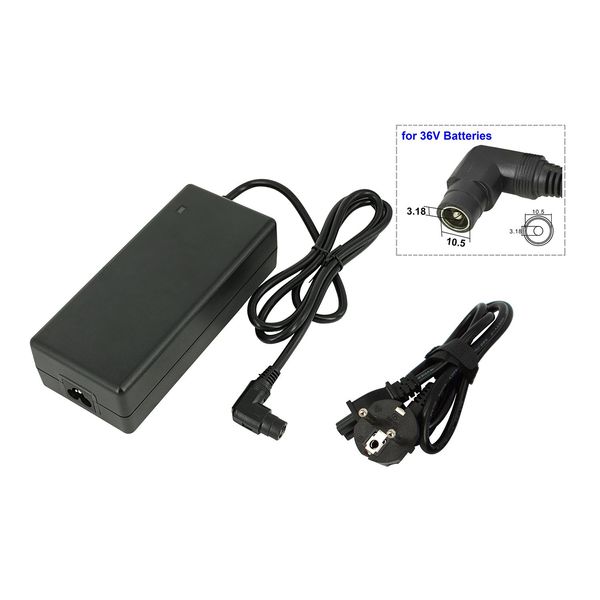 Caricabatterie Powersmart Phylion Per Batteria SSLC084V42XH Rca 10,5-image