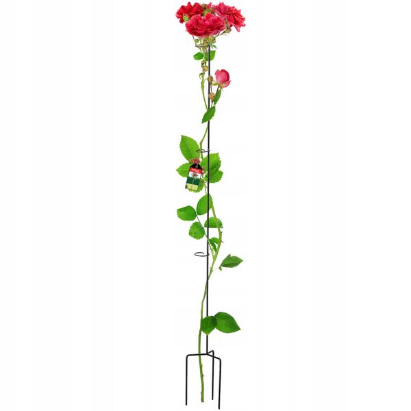 Supporto Per Rampicanti Kadax In Acciaio, Supporto Per Piante Autoportanti Per Rose, Piante Rampicanti, Edera, Giardino-image