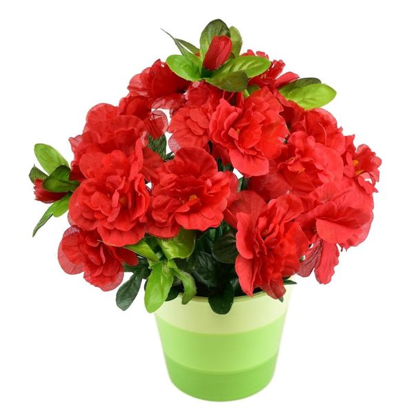 Azalea Rossa In Vaso Di Ceramica 25×25 Cm-image