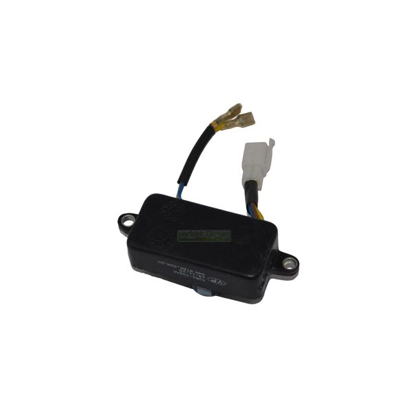 Regolatore Di Tensione Avr Per Generatore Di Corrente Einhell BT-PG 2000 2000/1 2800/1 / Se 2100-image