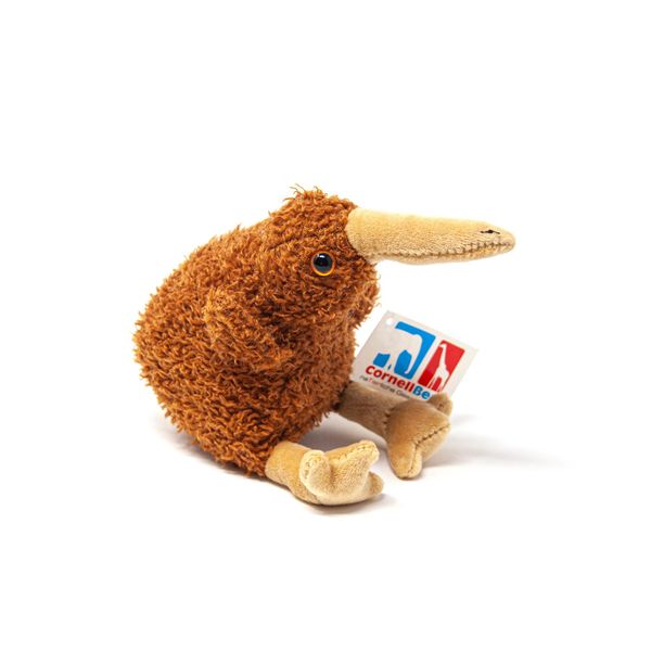 Cornelissen - Peluche - Kiwi - 17 Cm-image