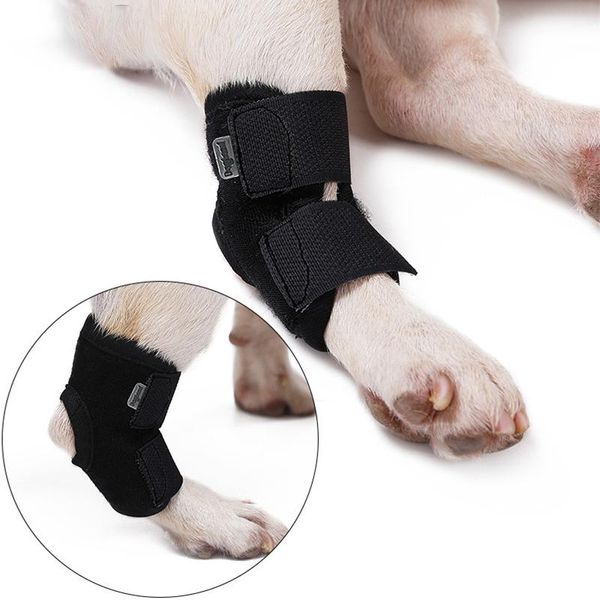 Inf Supporto Per Zampa Di Cane - Supporto Corto Per Cani S-image