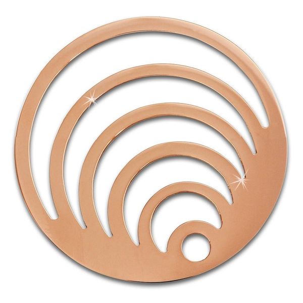 Amello Coins Rose 30 Mm Intarsio Acciaio Inossidabile Placcato Oro Cerchi Per Monete Da Donna ESC524E-image