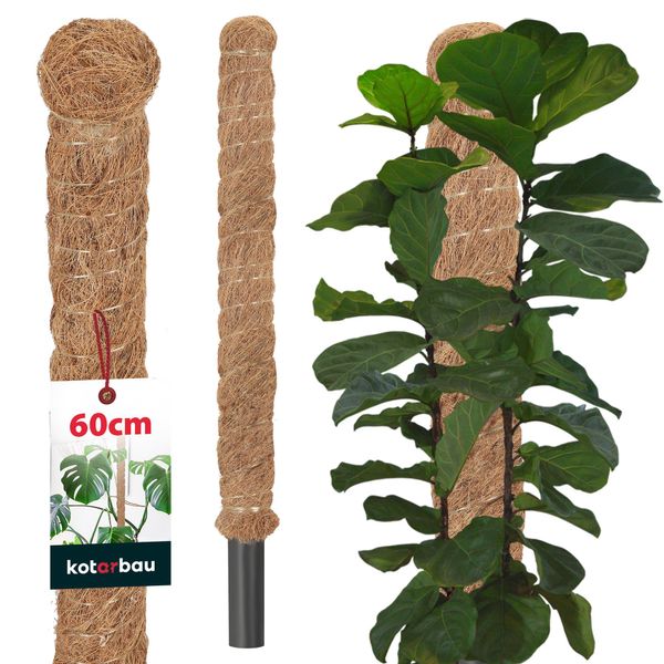 Kotarbau® Palo Di Muschio Per Monstera Noce Di Cocco Naturale ⌀ 3,2 X 60 Cm Palo Per Piante Supporto Per Piante Monstera Palo Di Cocco Palo Per Piante Palo Per Piante Palo Di Muschio Monstera Supporto Per Piante Palo Per Fiori Palo Di Muschio-image