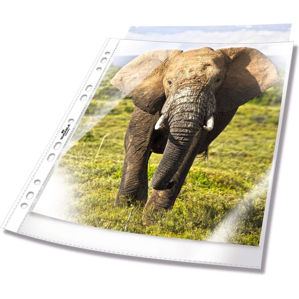 Durable Busta Perforata Business A4 In Pp Busta 100 Pezzi, 100 Pezzi, Trasparente, 265819-image