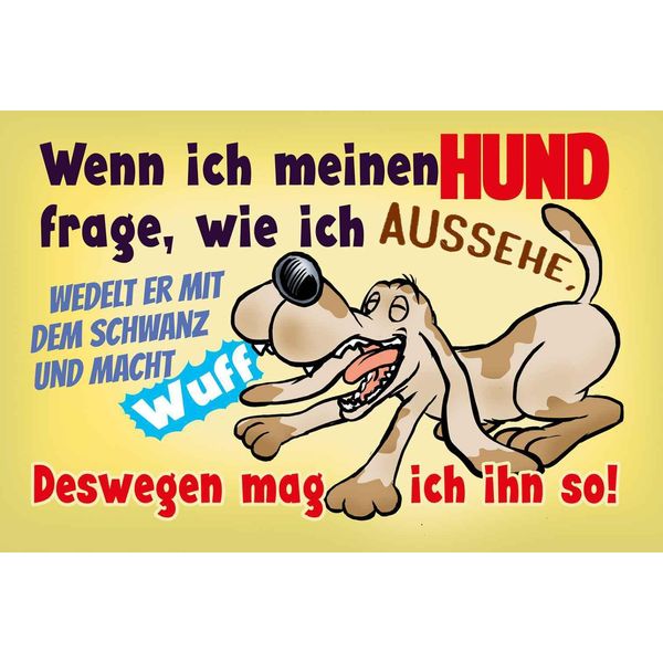 Vianmo Insegna In Legno 20X30 Cm Wenn Ich Meinen Hund Frage-image