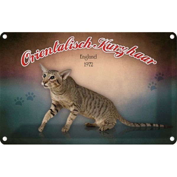 Vianmo Insegna Di Latta 12X18 Cm Katze Orientalisch Kurzhaar England-image