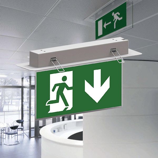 Braytron Led Luce Di Emergenza Luce Di Emergenza Illuminazione Di Emergenza Via Di Fuga Luce 2W Exit Freccia Giù Con Batteria Ricaricabile IP20-image