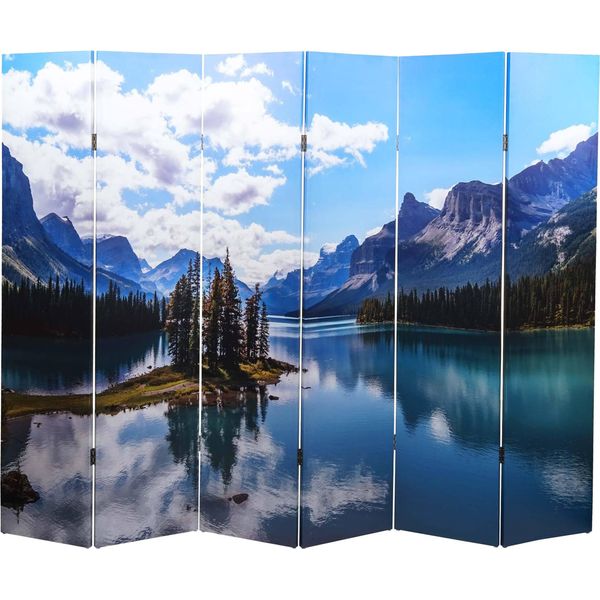 Schermo Fotografico HWC-A83, Schermo Divisorio Per Ambienti, Mvg ~ 180X244Cm Lago-image