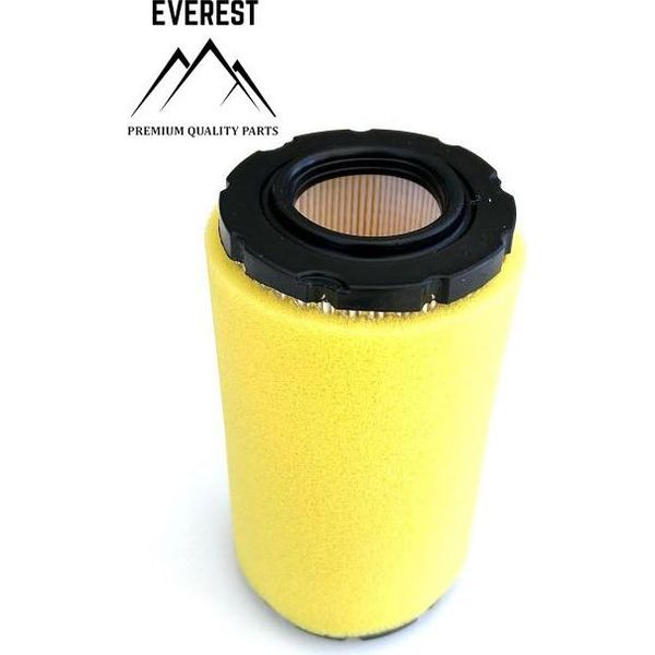 Filtro Aria Per Briggs&Stratton 793569-image