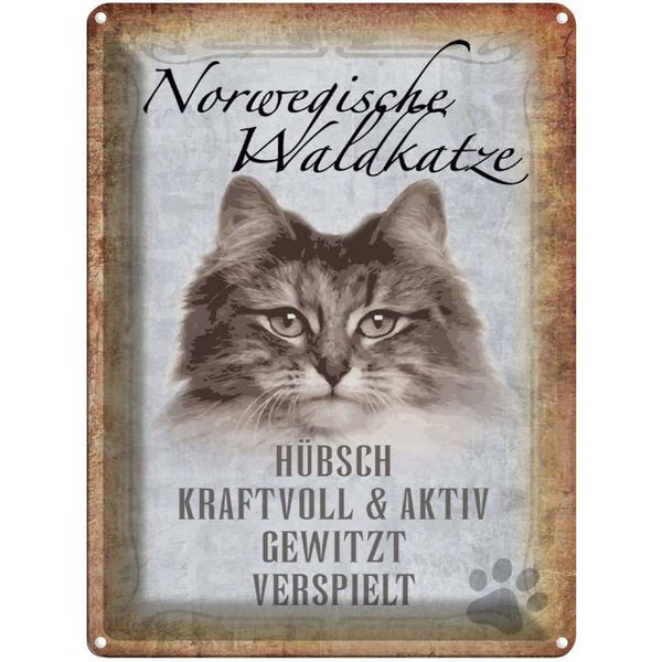 Vianmo Insegna Di Latta 40X30 Cm Norvegische Waldkatze Katze Wanddeco-image