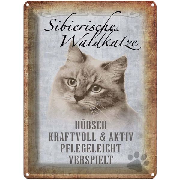 Vianmo Insegna Di Latta 40X30 Cm Sibirische Waldkatze Katze Wandschild-image