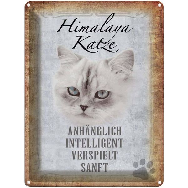 Vianmo Insegna Di Latta 40X30 Cm Himalaya Katze Sanft-image