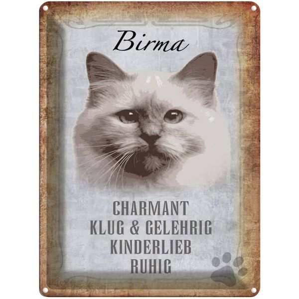 Vianmo Insegna Di Latta 40X30 Cm Birma Katze Klug-image