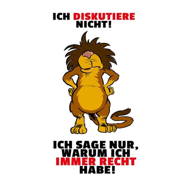 Vianmo Insegna In Legno 40X30 Cm Ich Diskutiere Nicht Habe Recht-image