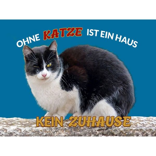 Vianmo Insegna In Legno 30X40 Cm Ohne Katze Kein Zuhause-image