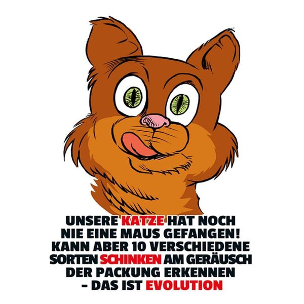 Vianmo Insegna In Legno 40X30 Cm Katze Hat Noch Nie Maus Gefangen-image