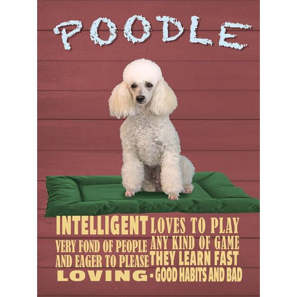 Vianmo Insegna In Legno 40X30 Cm Hund Poodle Loves To Play-image