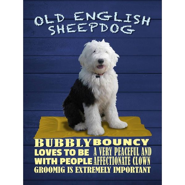 Vianmo Insegna In Legno 40X30 Cm Old English Sheepdog Hund Bubbly-image