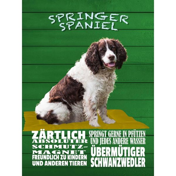 Vianmo Insegna In Legno 40X30 Cm Springer Spaniel Hund ZäRtlich-image