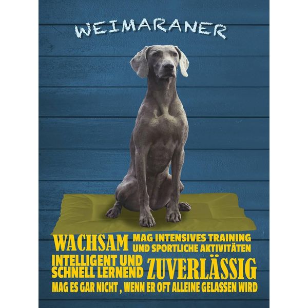 Vianmo Insegna In Legno 40X30 Cm Weimaraner Hund Wachsam Schnell-image