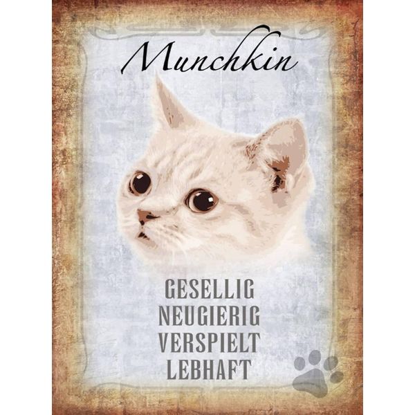 Vianmo Insegna In Legno 40X30 Cm Munchkin Katze Lebhaft-image