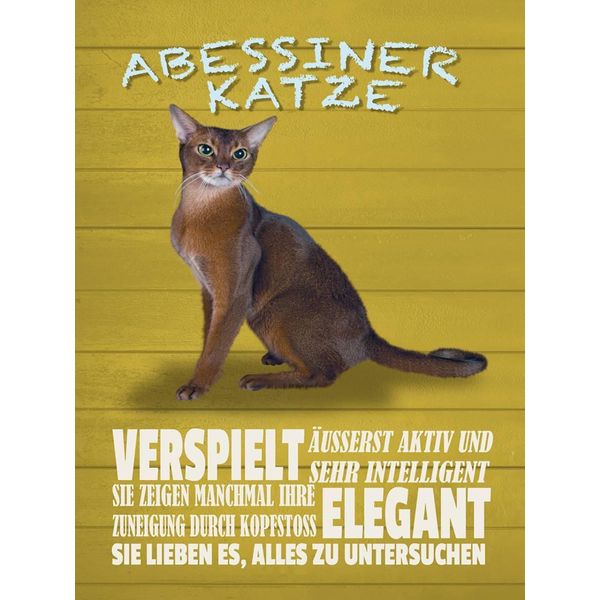 Vianmo Insegna In Legno 40X30 Cm Abyssinian Katze Verspielt-image