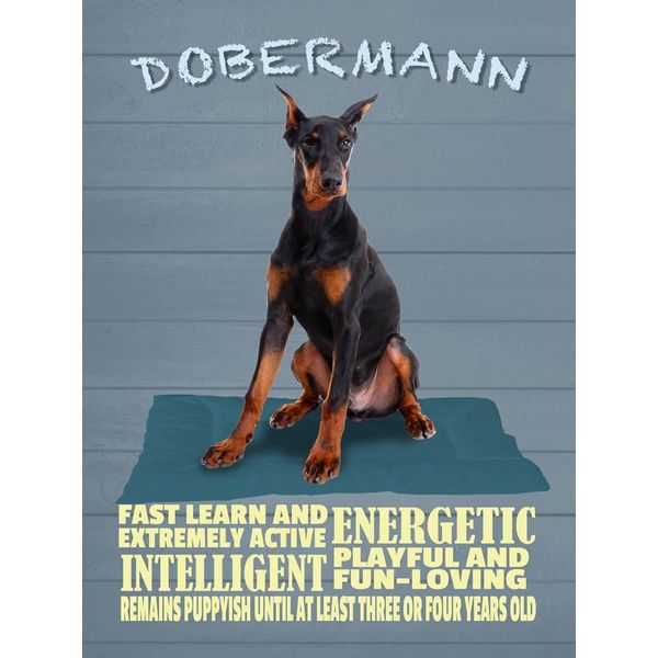 Vianmo Insegna In Legno 40X30 Cm Dobermann Hund Fast Learn And-image