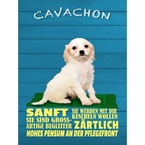Vianmo Insegna In Legno 40X30 Cm Cavachon Hund Sanft ZäRtlich-image
