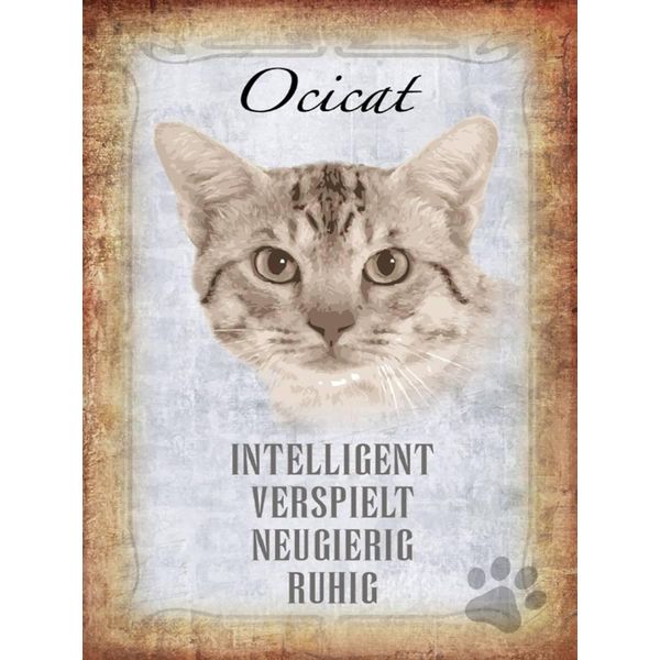 Vianmo Insegna In Legno 40X30 Cm Ocicat Katze Verspielt-image