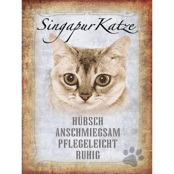 Vianmo Insegna In Legno 40X30 Cm Singapur Katze-image
