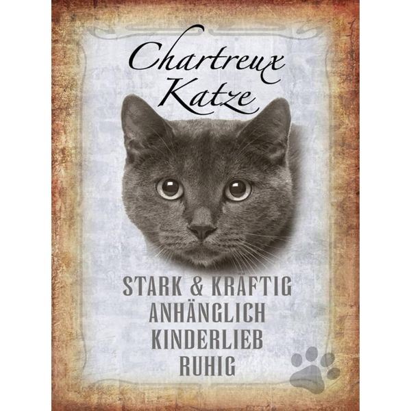 Vianmo Insegna In Legno 40X30 Cm Chartreux Katze Stark-image