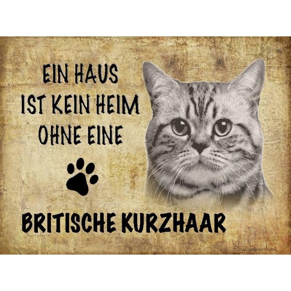 Vianmo Insegna In Legno 30X40 Cm Britische Kurzhaar Katze-image