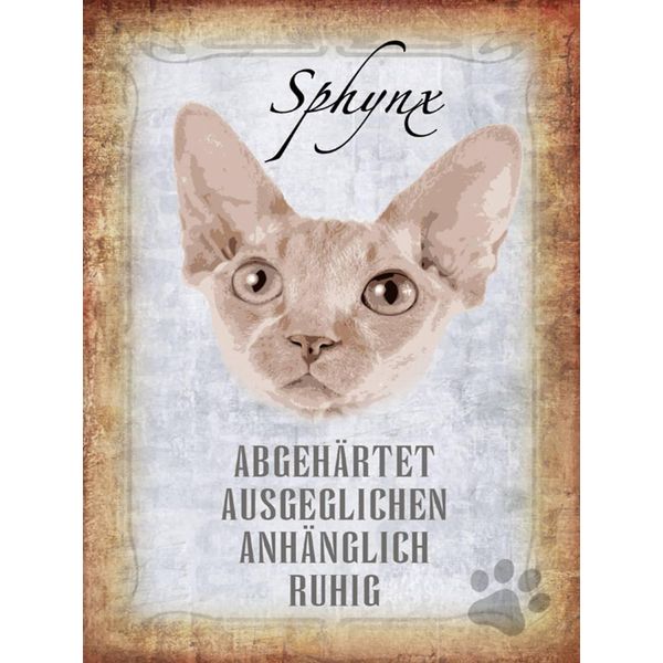 Vianmo Insegna In Legno 40X30 Cm Sphynx Katze-image