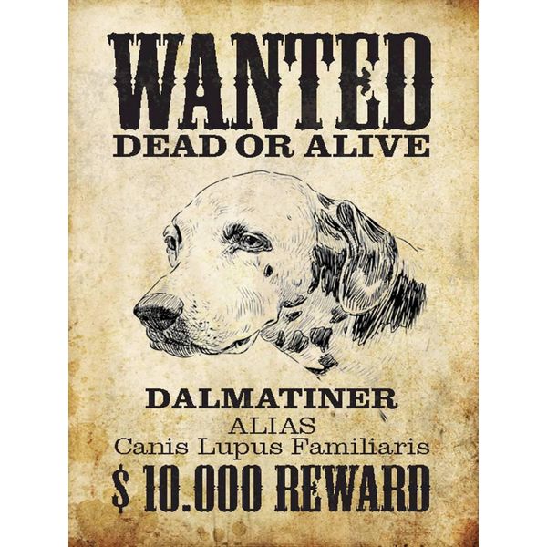 Vianmo Insegna In Legno 40X30 Cm Hund Wanted Dead Dalmatiner-image