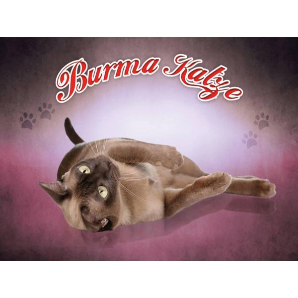 Vianmo Insegna In Legno 30X40 Cm Katze Burma Katze-image