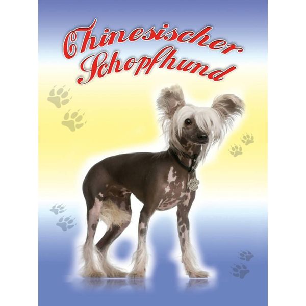 Vianmo Insegna In Legno 40X30 Cm Hund Chinesischer Schopfhund-image